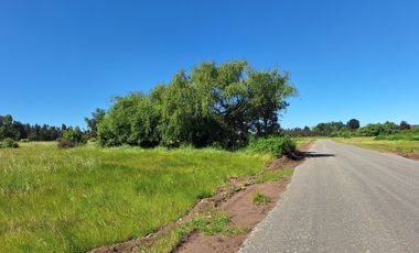 PARCELAS AGRORESIDENCIALES DE 5.000 M2 A 5 MINUTOS DE LOS ÁNGELES