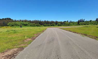 PARCELAS AGRORESIDENCIALES DE 5.000 M2 A 5 MINUTOS DE LOS ÁNGELES
