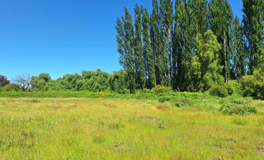 PARCELAS AGRORESIDENCIALES DE 5.000 M2 A 5 MINUTOS DE LOS ÁNGELES