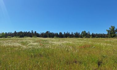 PARCELAS AGRORESIDENCIALES DE 5.000 M2 A 5 MINUTOS DE LOS ÁNGELES