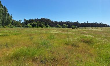 PARCELAS AGRORESIDENCIALES DE 5.000 M2 A 5 MINUTOS DE LOS ÁNGELES