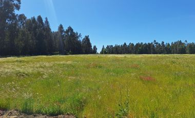 PARCELAS AGRORESIDENCIALES DE 5.000 M2 A 5 MINUTOS DE LOS ÁNGELES