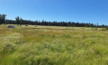 PARCELAS AGRORESIDENCIALES DE 5.000 M2 A 5 MINUTOS DE LOS ÁNGELES