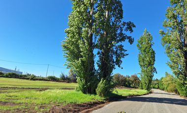 PRADERAS DEL AVELLANITO EN LOS ÁNGELES