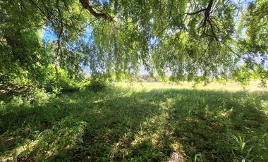 PRADERAS DEL AVELLANITO EN LOS ÁNGELES