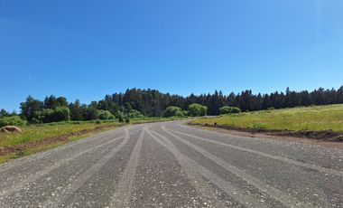 PRADERAS DEL AVELLANITO EN LOS ÁNGELES