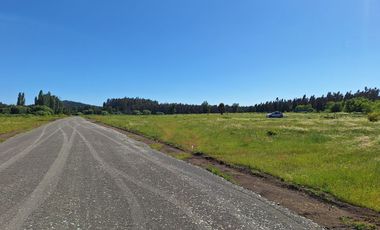 PRADERAS DEL AVELLANITO EN LOS ÁNGELES