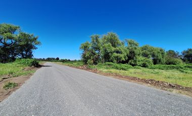 PRADERAS DEL AVELLANITO EN LOS ÁNGELES