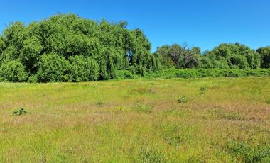 PRADERAS DEL AVELLANITO EN LOS ÁNGELES