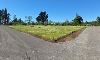 PRADERAS DEL AVELLANITO EN LOS ÁNGELES