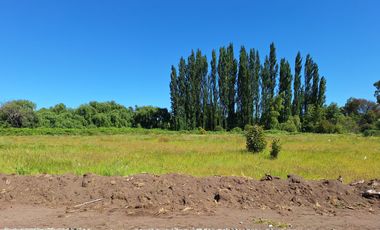 PRADERAS DEL AVELLANITO EN LOS ÁNGELES