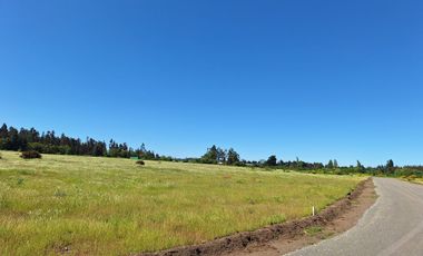 PRADERAS DEL AVELLANITO EN LOS ÁNGELES