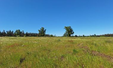 PRADERAS DEL AVELLANITO EN LOS ÁNGELES