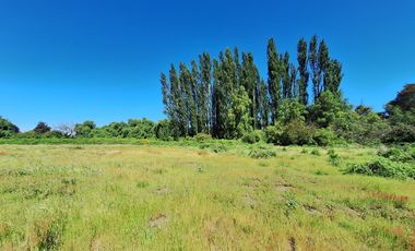 PRADERAS DEL AVELLANITO EN LOS ÁNGELES