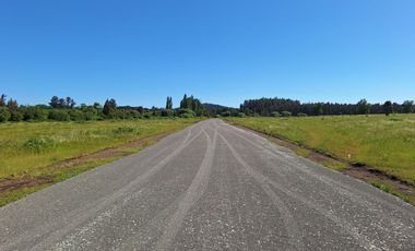 PRADERAS DEL AVELLANITO EN LOS ÁNGELES