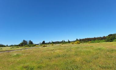 PRADERAS DEL AVELLANITO EN LOS ÁNGELES