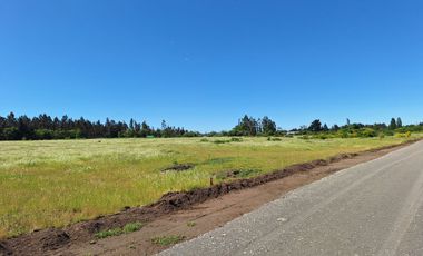 PRADERAS DEL AVELLANITO EN LOS ÁNGELES