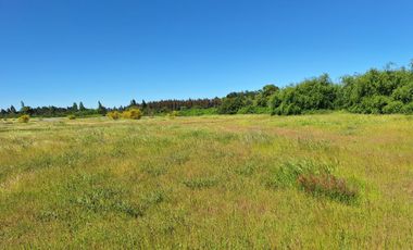 PRADERAS DEL AVELLANITO EN LOS ÁNGELES