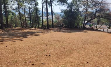 TERRENO EN RENTA | ACATITLAN | A PIE DE CARRETERA