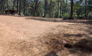 TERRENO EN RENTA | ACATITLAN | A PIE DE CARRETERA