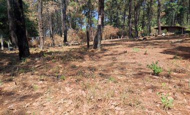 TERRENO EN RENTA | ACATITLAN | A PIE DE CARRETERA