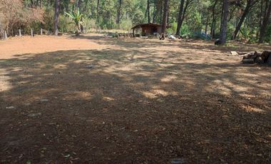 TERRENO EN RENTA | ACATITLAN | A PIE DE CARRETERA