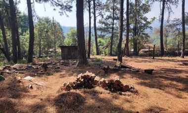 TERRENO EN RENTA | ACATITLAN | A PIE DE CARRETERA