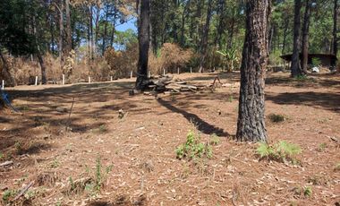 TERRENO EN RENTA | ACATITLAN | A PIE DE CARRETERA