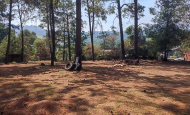 TERRENO EN RENTA | ACATITLAN | A PIE DE CARRETERA