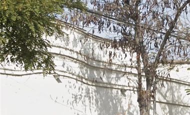 Sitio en Arriendo en Porvenir, santiago centro