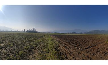 Paño de 7,78 has en Mallarauco, 100% agrícola