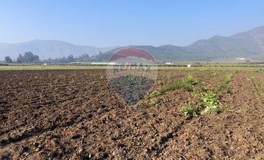 Paño de 7,78 has en Mallarauco, 100% agrícola