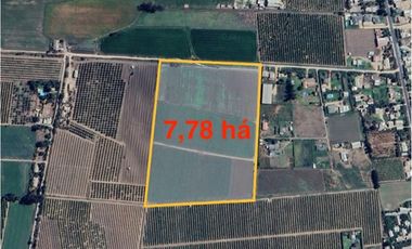 Paño de 7,78 has en Mallarauco, 100% agrícola