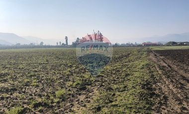 Paño de 7,78 has en Mallarauco, 100% agrícola