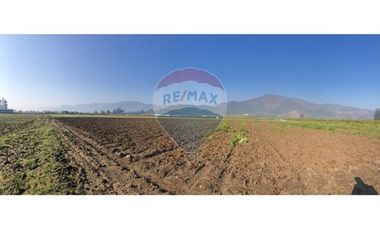 Paño de 7,78 has en Mallarauco, 100% agrícola