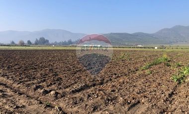 Paño de 7,78 has en Mallarauco, 100% agrícola