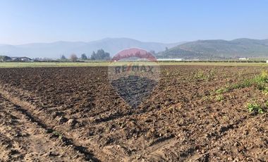 Paño de 7,78 has en Mallarauco, 100% agrícola