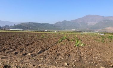 Paño de 7,78 has en Mallarauco, 100% agrícola