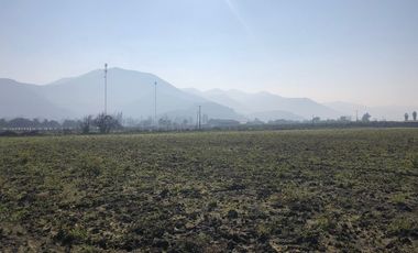 Paño de 7,78 has en Mallarauco, 100% agrícola