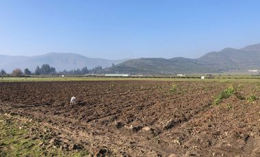 Paño de 7,78 has en Mallarauco, 100% agrícola