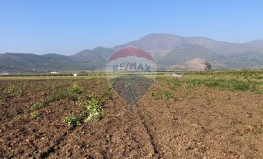 Paño de 7,78 has en Mallarauco, 100% agrícola