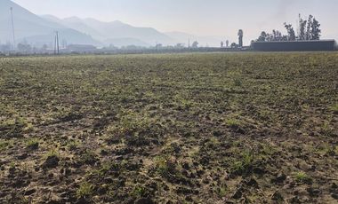 Paño de 7,78 has en Mallarauco, 100% agrícola