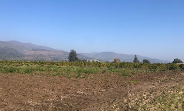 Paño de 7,78 has en Mallarauco, 100% agrícola