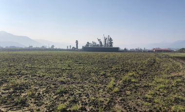 Paño de 7,78 has en Mallarauco, 100% agrícola