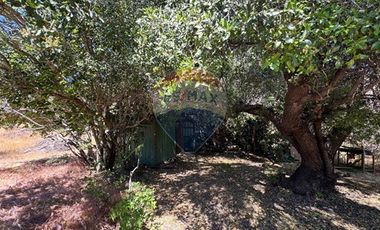 CASA CON PARCELA DE 44 HECTAREAS