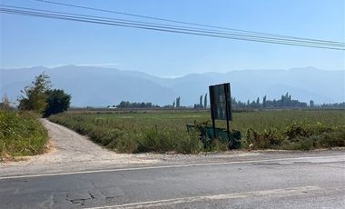 Sitio en Venta en LA MEJOR OPCION DE COMPRA TERRENO AGRICOLA EN PLACILLA