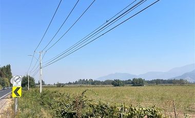 Sitio en Venta en LA MEJOR OPCION DE COMPRA TERRENO AGRICOLA EN PLACILLA