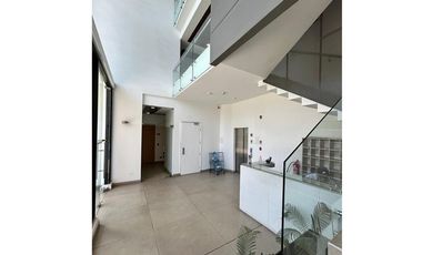 Oficina Profesional, Neveria, Las Condes