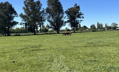 Parcela en Venta en Predio San Agustín, Sector Altos San Miguel, Los Angeles