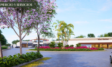 Últimos lotes en etapa de lanzamiento a $182k. El valor aumentará con el desarro